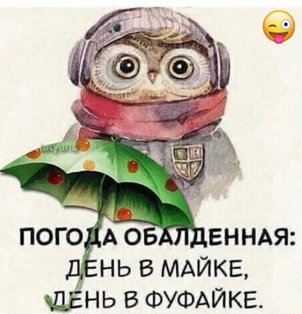 совушка сова
