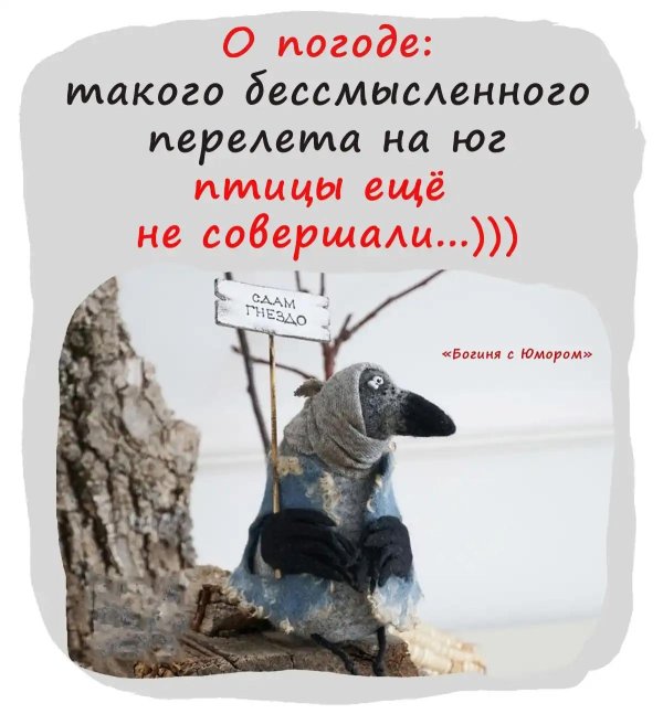 ворона игрушка