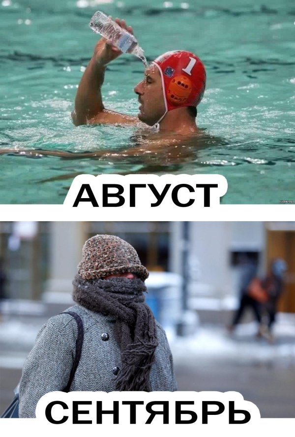 вода мем