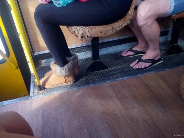 смешные шалости