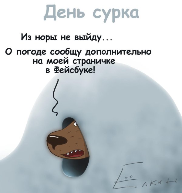 сурок смешной
