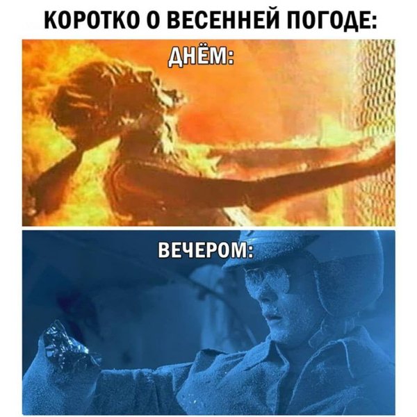 мем про жару