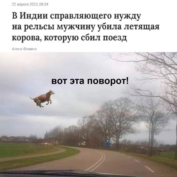 летела корова