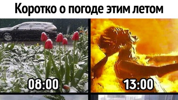 про погоду приколы