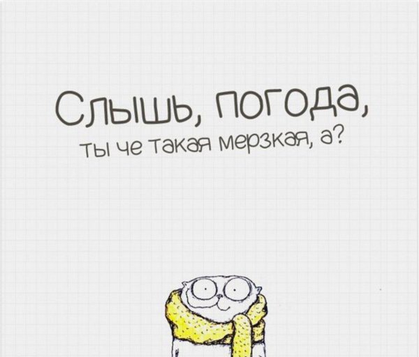 прикольные высказывания