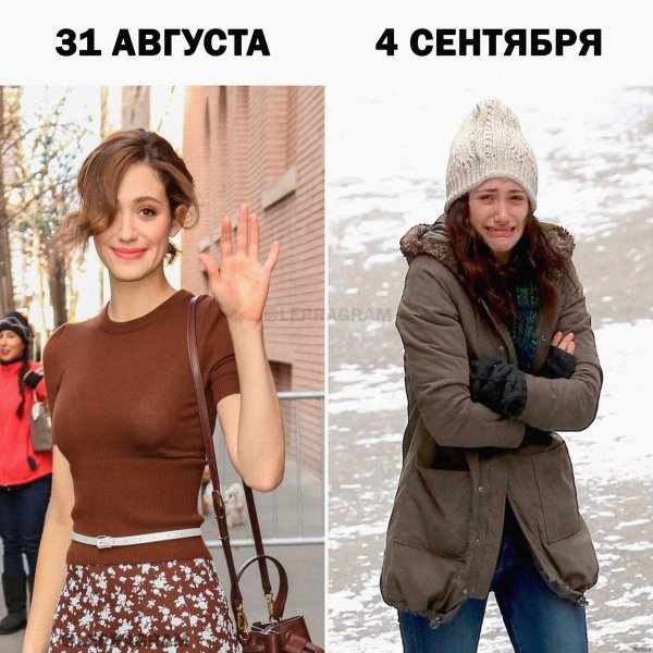 россум эмми