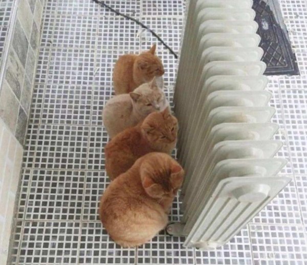 теплые батареи