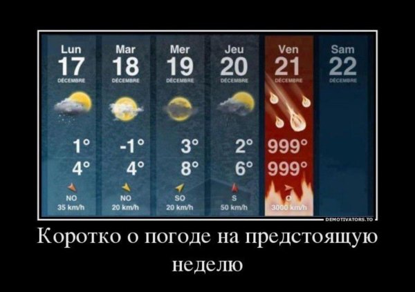 weather forecast