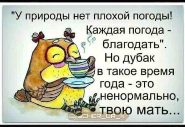у природы нет плохой погоды прикол