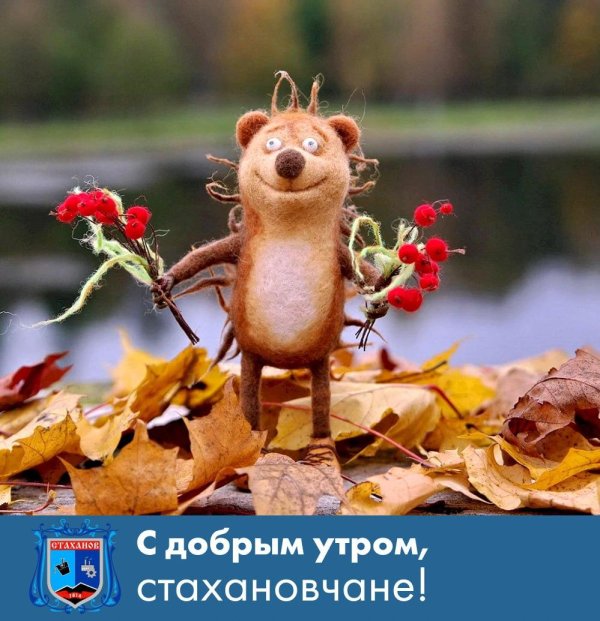 доброго осеннего утра прикольные