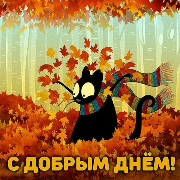 чудеса осени