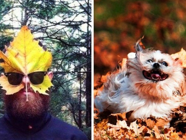 самые прикольные осенние аватарки