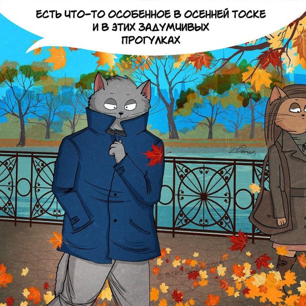 люблю осень