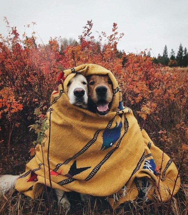 утепляемся к осени