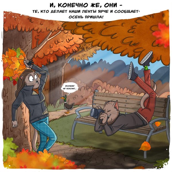 осенний юмор