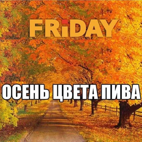 мем про осень