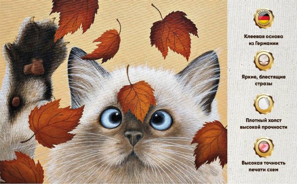 кот в осенних листьях