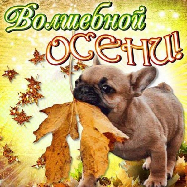 хорошей осени