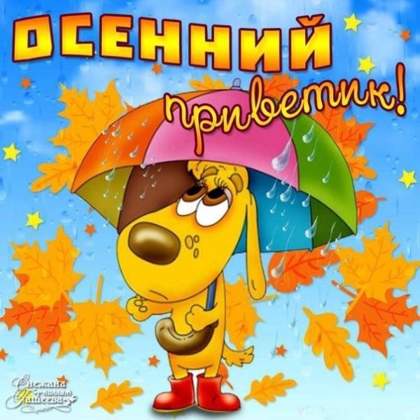 осенний приветик
