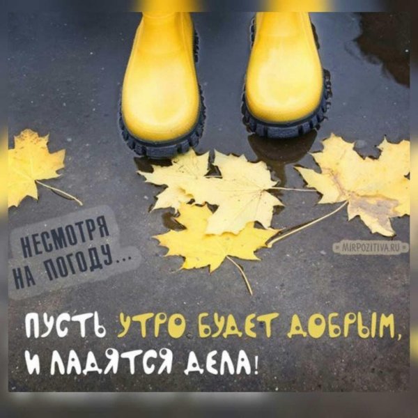 доброе утро в сапогах