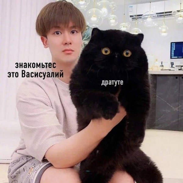 дратуте кошька очень приятно