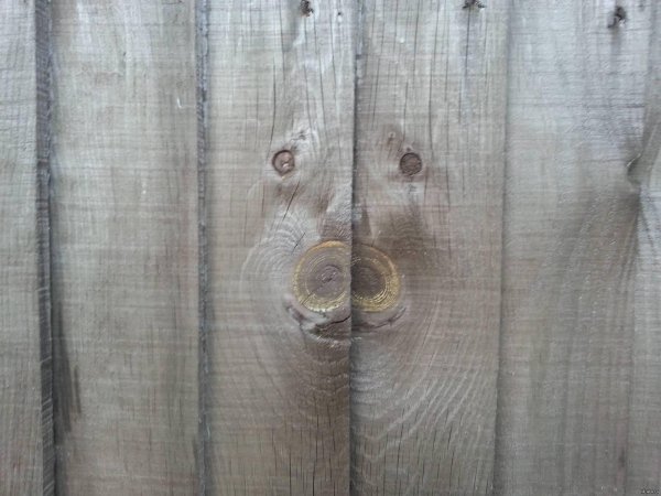 пороки древесины сучковатость