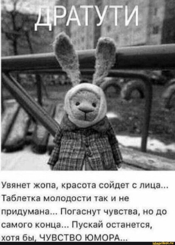 чувство юмора