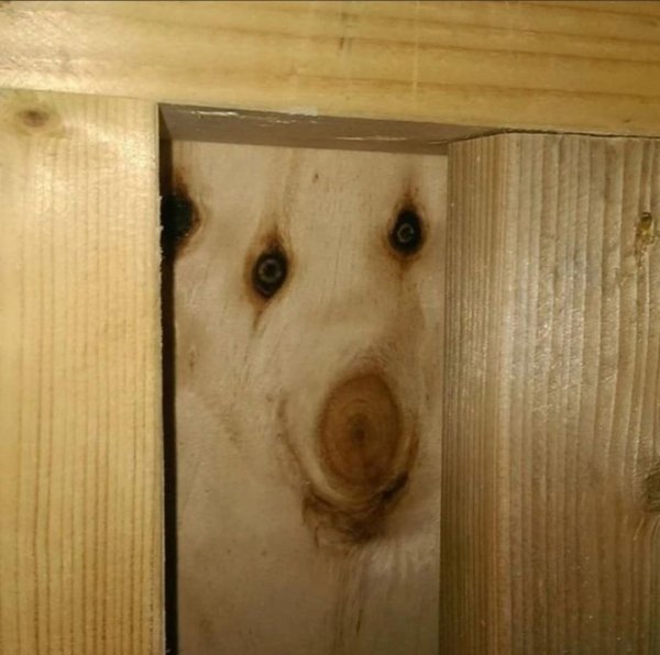 дратути дотвиданиня