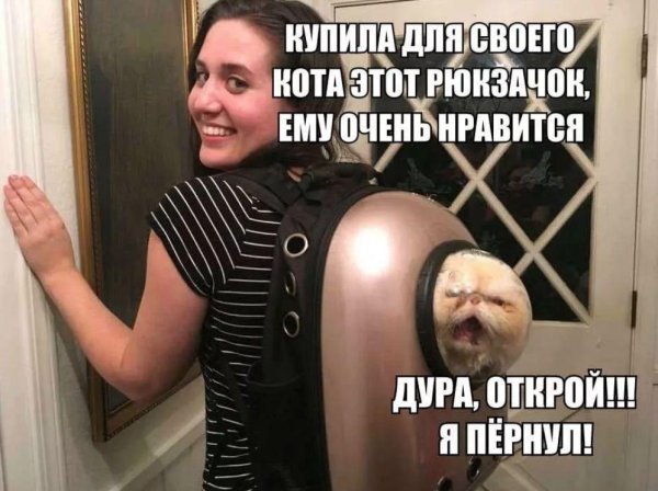 смешной рюкзак