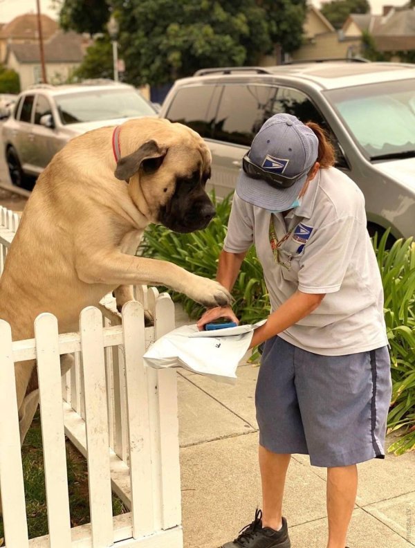 прикольные демотиваторы