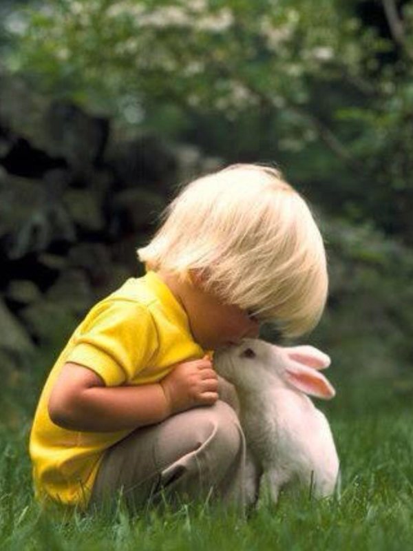 мальчик обнимает кролика
