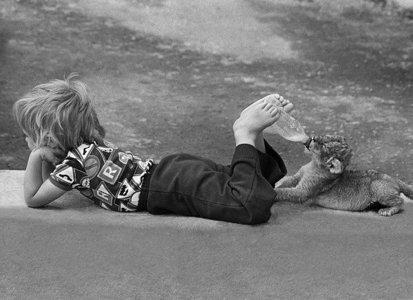 джон дрисдейл