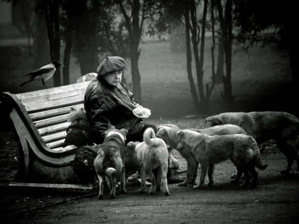 одиночество старушки