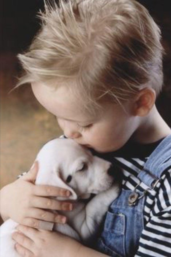 любовь к животным