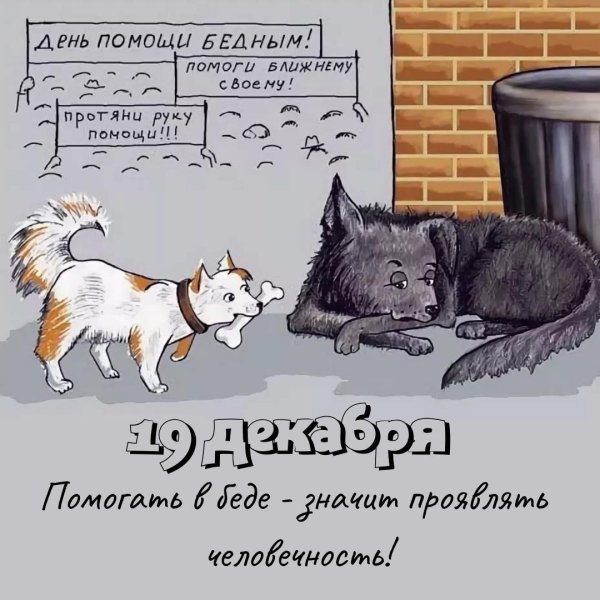 бездомное животное