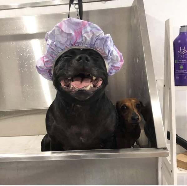 воскресенье прикол