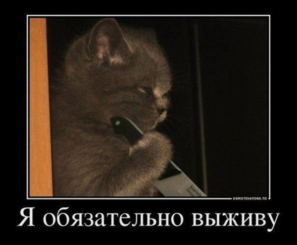 я обязательно выживу котик