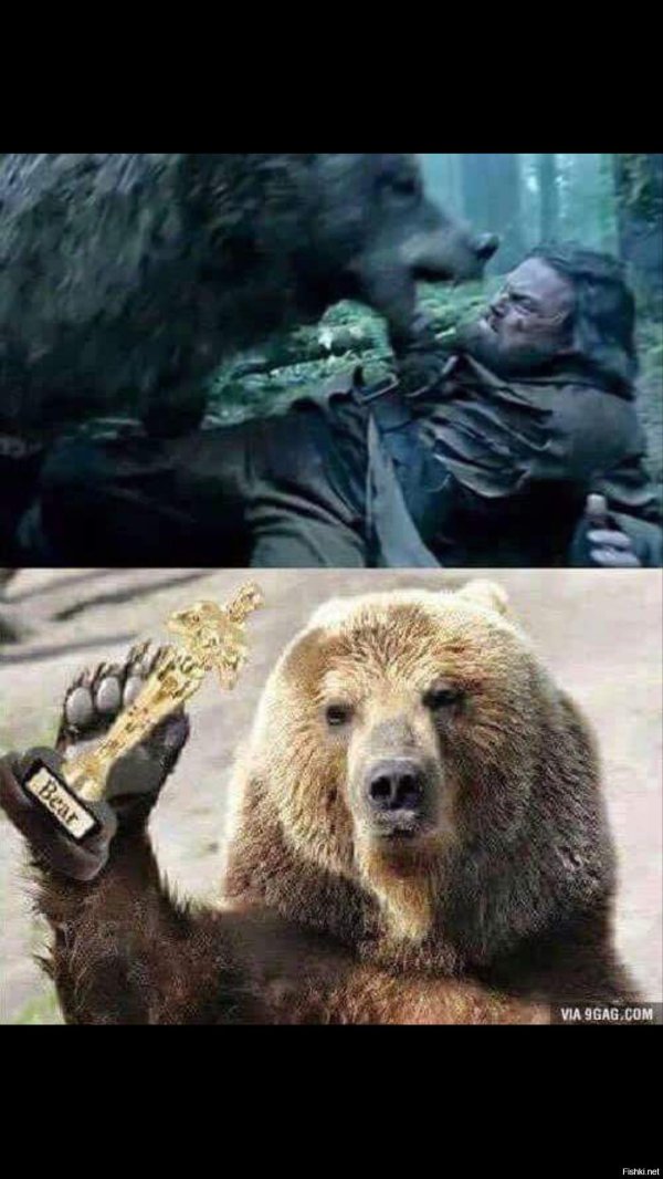 выживший медведь