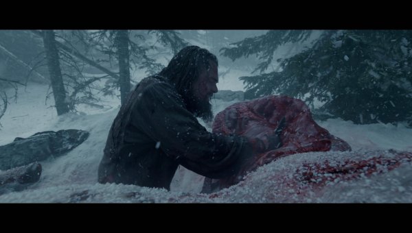 выживший 2015