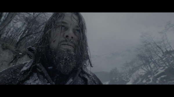 выживший 2015