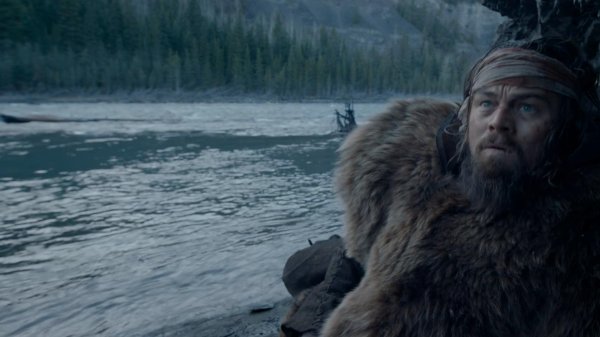 выживший 2015