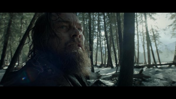 выживший 2015