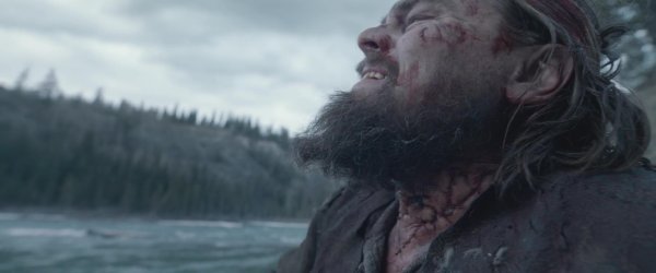 выживший 2015