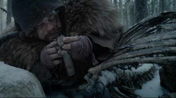 выживший 2015