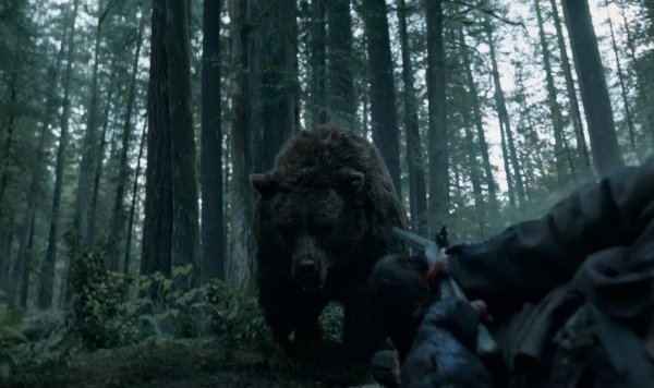 фильм гризли 2015 медведь