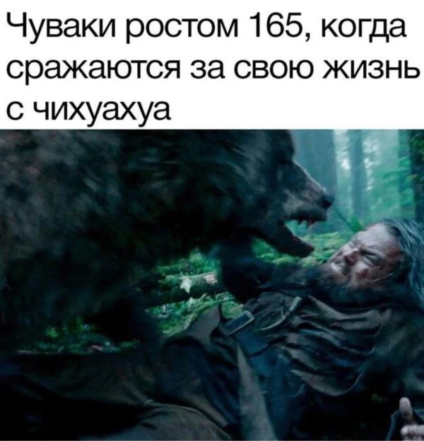 фильм гризли 2015 медведь