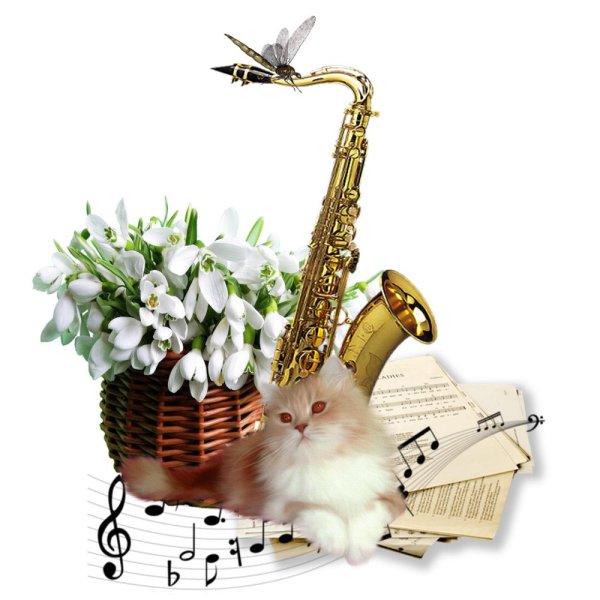 саксофон и весна