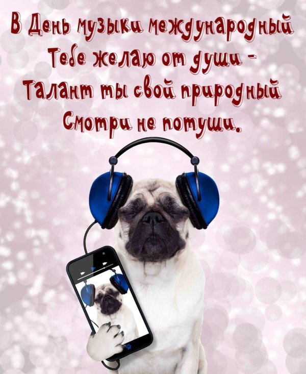 мопс в наушниках