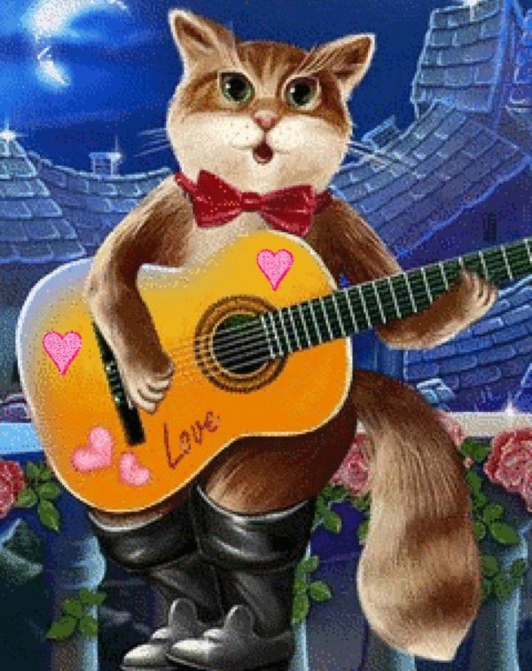 кот гитарист