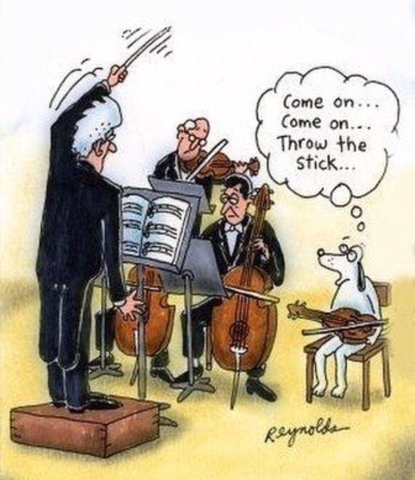 музыкальная шутка